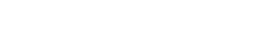 Large White Accented Logo
